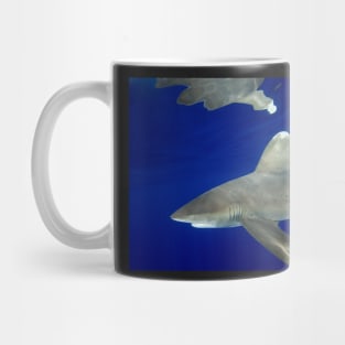 Oceanic White Tip Shark Reflections Mug